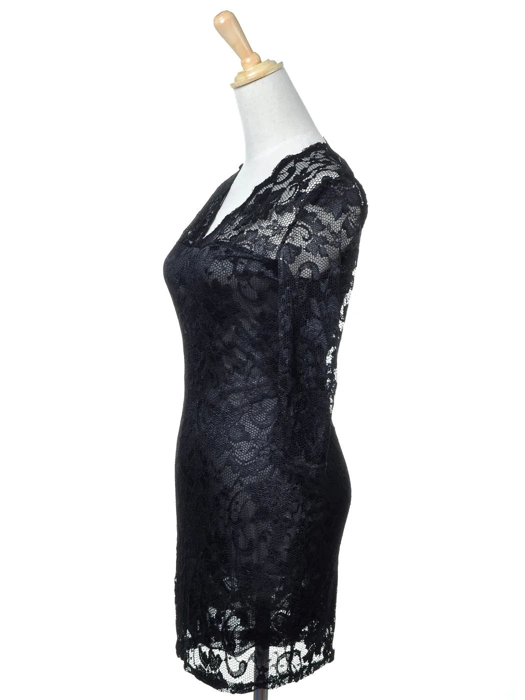 Gothic Romantic Floral Lace V Neck  Long Dress