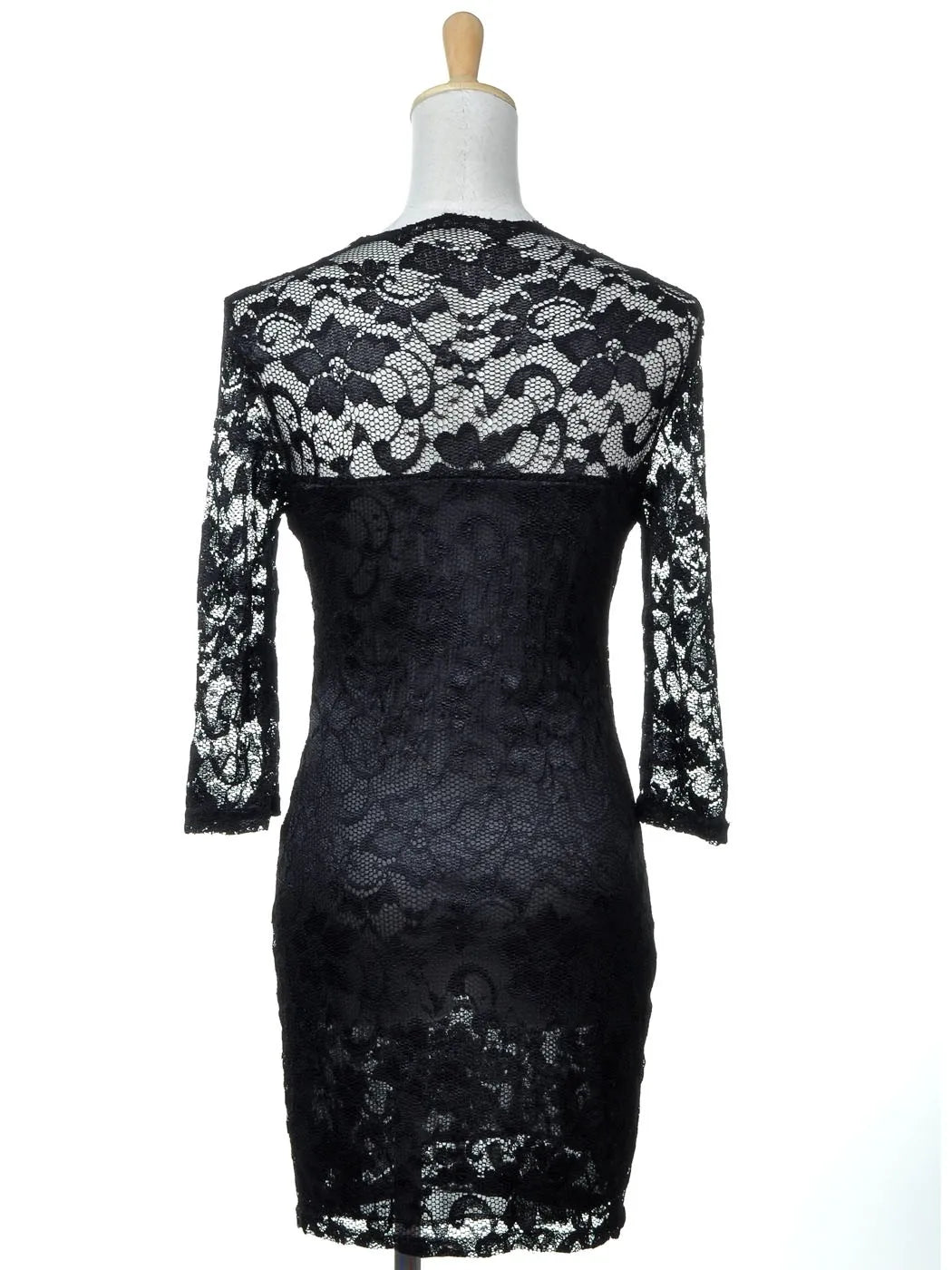 Gothic Romantic Floral Lace V Neck  Long Dress