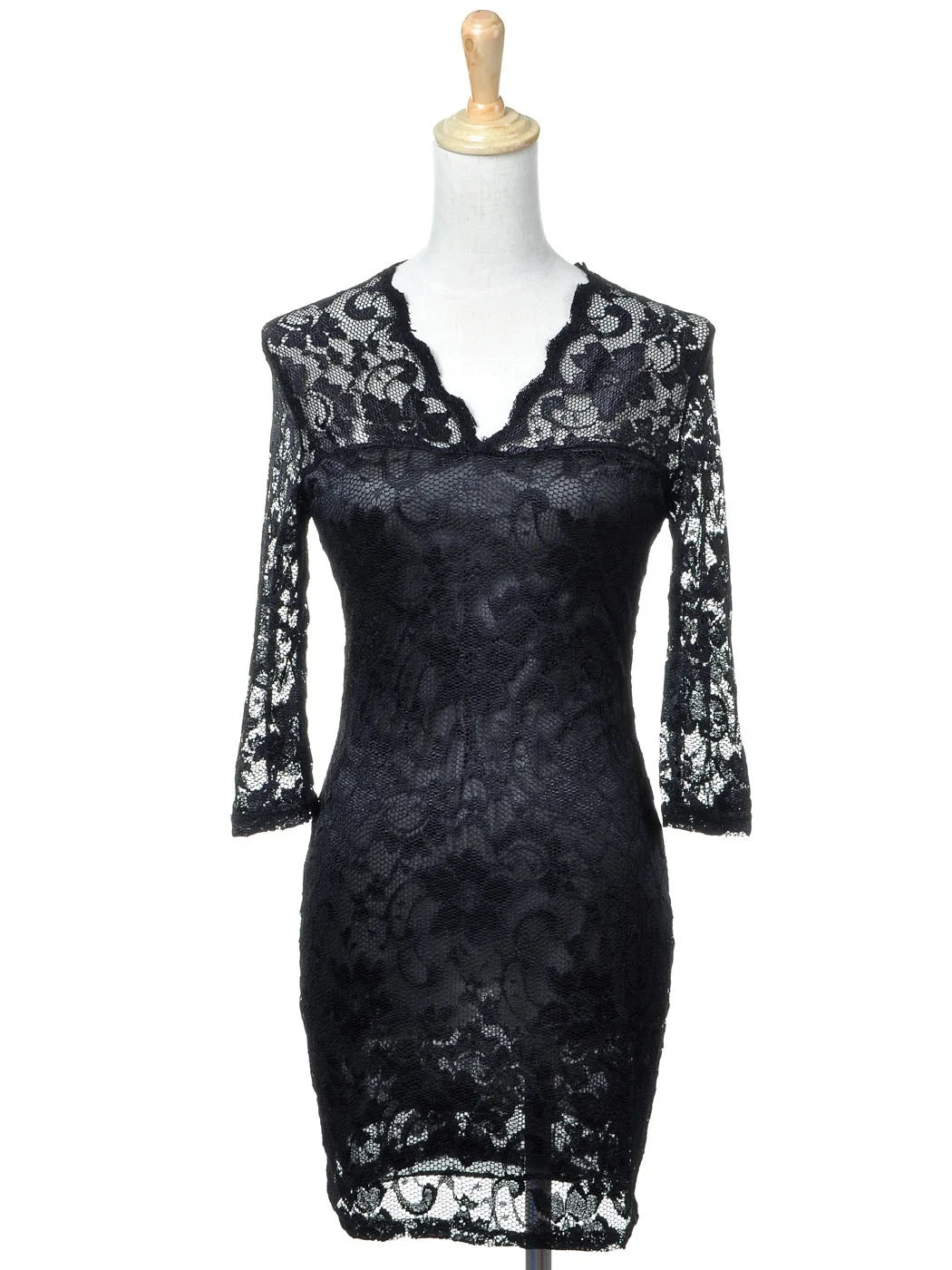Gothic Romantic Floral Lace V Neck  Long Dress