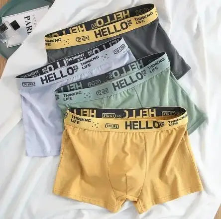 4Pcs Boxer Boxer Men's Underwear XS-XXL Men Sexy Man Breathable Boxer Shorts Male Comfortable Underpants