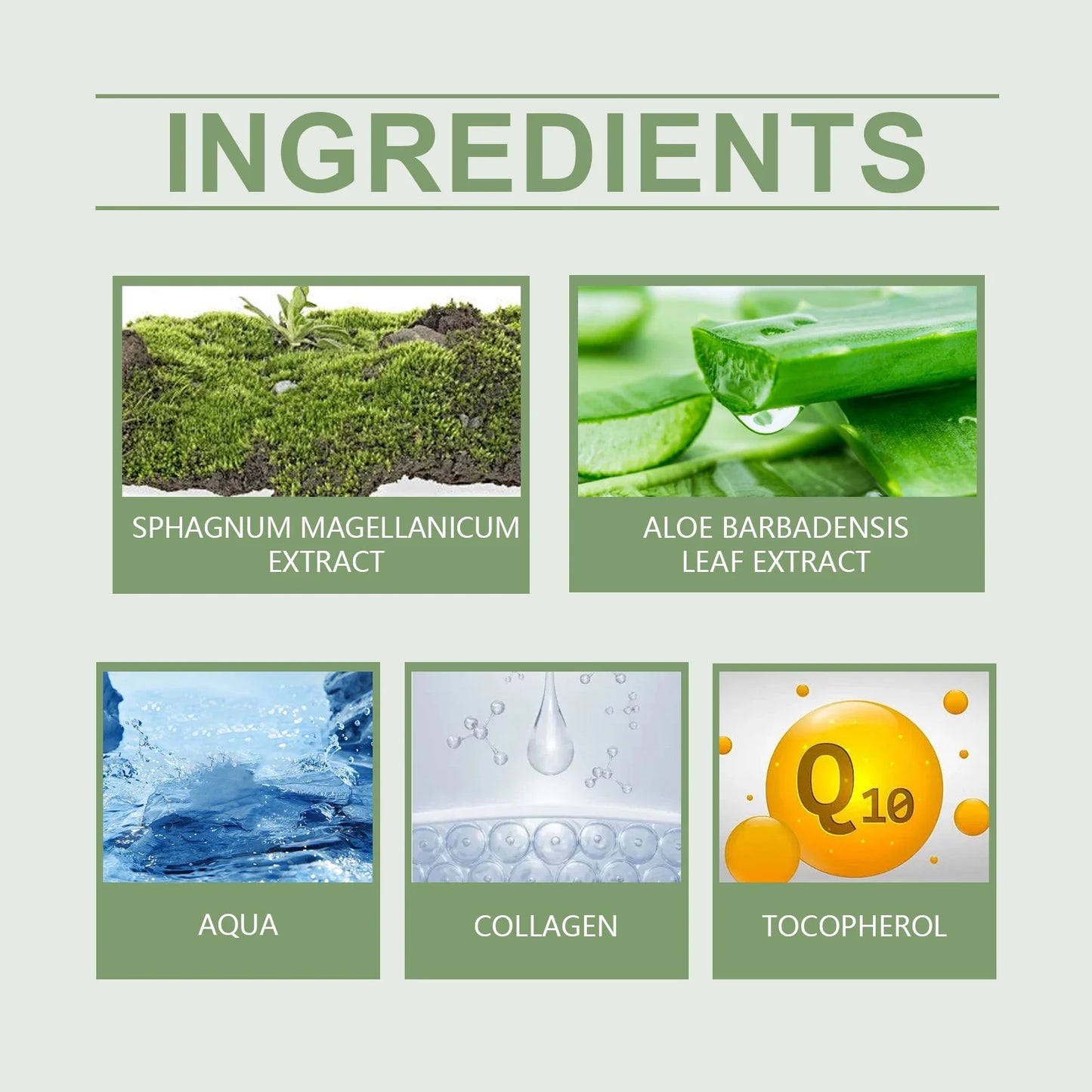 Collagen Anti Wrinkle Face Cream Aloe Vera  Moisturize Cream Reduce Fine Lines