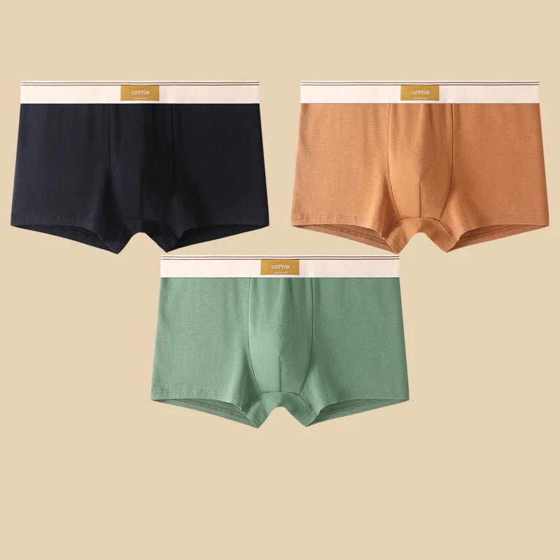 3Pcs Men's Underwear Hombre Boxershorts Comfortable Breathable Cotton Underwear Sexy Underwear Solid Color Boxer Shorts