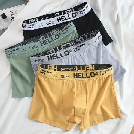 4Pcs Boxer Boxer Men's Underwear XS-XXL Men Sexy Man Breathable Boxer Shorts Male Comfortable Underpants