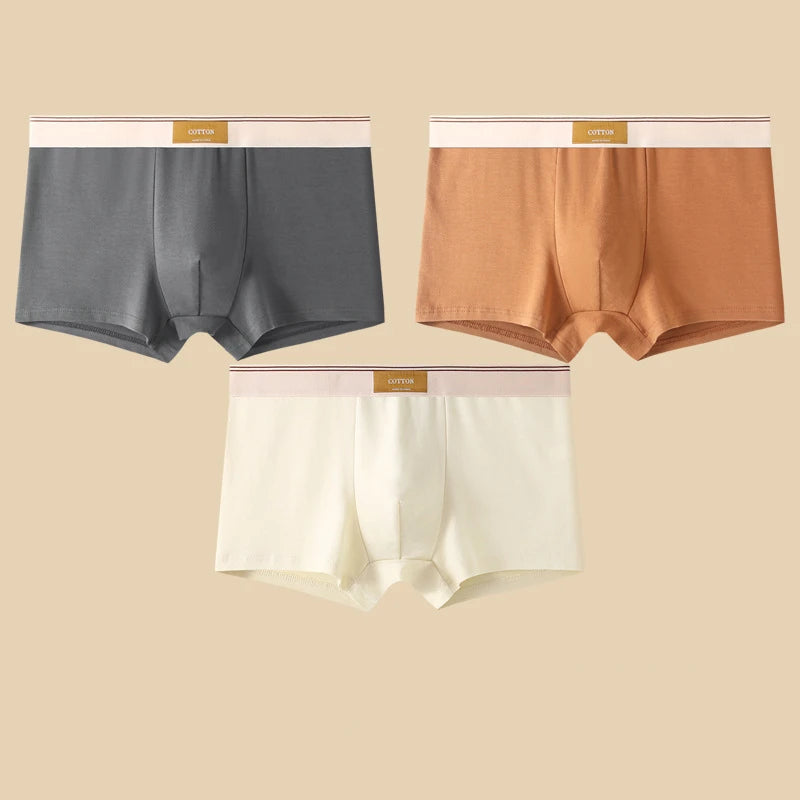 3Pcs Men's Underwear Hombre Boxershorts Comfortable Breathable Cotton Underwear Sexy Underwear Solid Color Boxer Shorts
