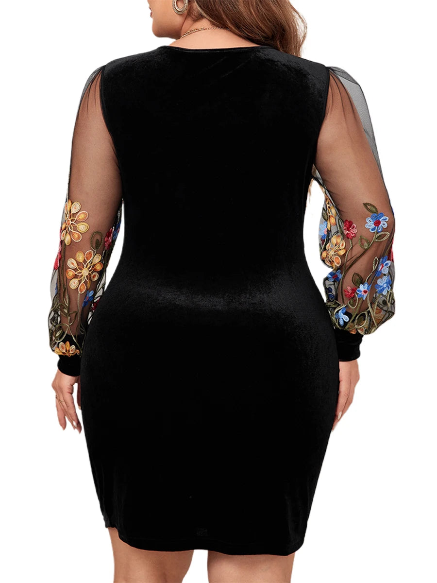 Lace Bodycon Dress  Floral Embroidery Sheer Long Sleeve V-Neck