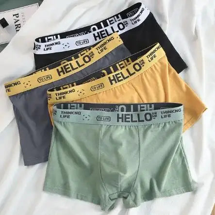 4Pcs Boxer Boxer Men's Underwear XS-XXL Men Sexy Man Breathable Boxer Shorts Male Comfortable Underpants