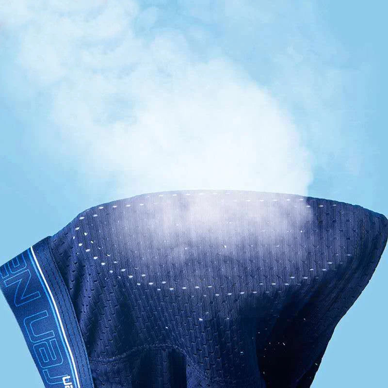 4pcs Men's Boxer Shorts Ice Silk Underwear Plus Size Underpants Cool Breathable Sexy Slim Mesh