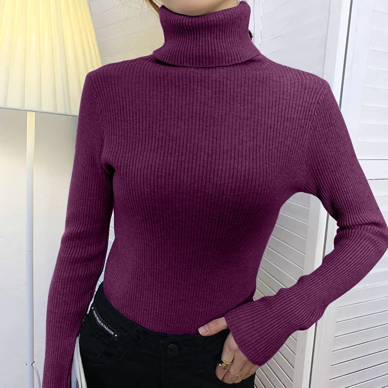 Women's Fall Turtleneck Sweater Knitted Soft Pullovers Cashmere Jumpers Basic Soft Sweaters For Women