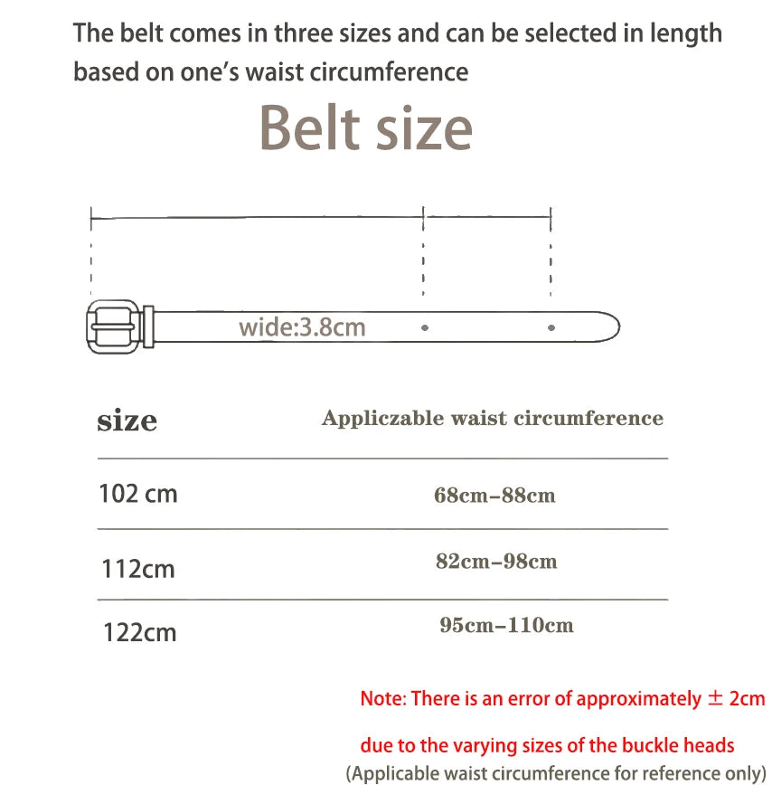 Western Style Printed Solid Color Pu Belt Buckle, Retro Casual Women's Belt, Classic Jeans Decorative Belt