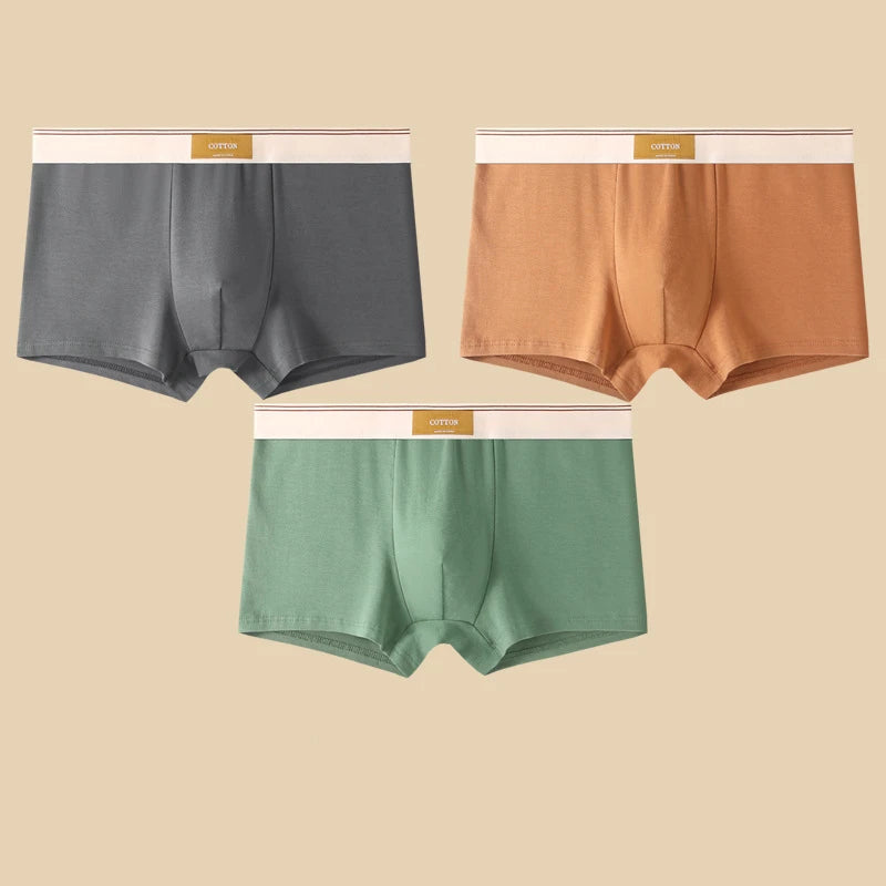 3Pcs Men's Underwear Hombre Boxershorts Comfortable Breathable Cotton Underwear Sexy Underwear Solid Color Boxer Shorts