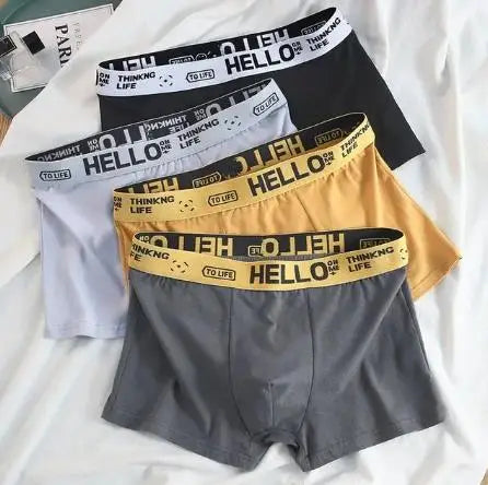 4Pcs Boxer Boxer Men's Underwear XS-XXL Men Sexy Man Breathable Boxer Shorts Male Comfortable Underpants