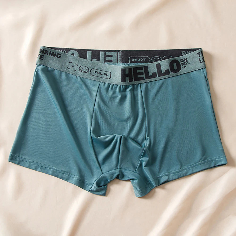 5pcs/lot Boxer Shorts Ice Silk Men's Underwear Summer Breathable Underpants U Convex Lingerie Breathable Sexy