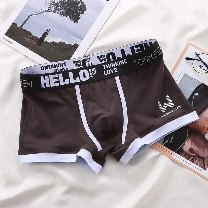 Men Cotton Boxer Shorts Man Underwear Mens Boxers Breathable U Convex Male Underpants Sexy Plus Size