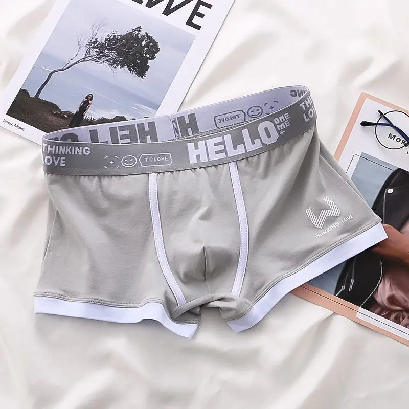 Men Cotton Boxer Shorts Man Underwear Mens Boxers Breathable U Convex Male Underpants Sexy Plus Size