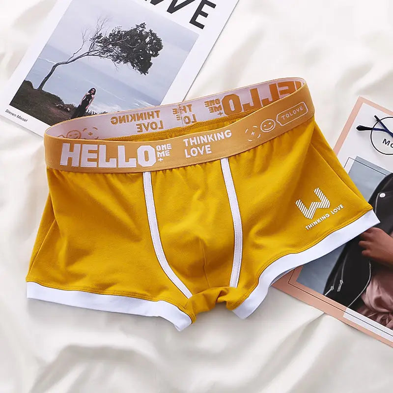 Men Cotton Boxer Shorts Man Underwear Mens Boxers Breathable U Convex Male Underpants Sexy Plus Size