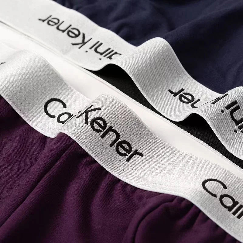 4Pcs/Lot Men's Underwear Boxer Fashion Sexy Underwear Antibacterial Soft Comfortable Underwear Brand Boxer Shorts Men's Panties
