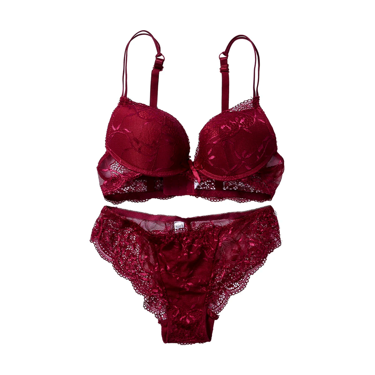 Lace Lingerie Set with Floral Embroidery and Matching Panties Sexy Push-Up Bra and Underwear Intimates