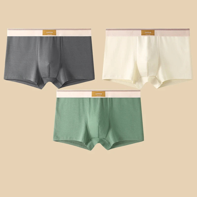 3Pcs Men's Underwear Hombre Boxershorts Comfortable Breathable Cotton Underwear Sexy Underwear Solid Color Boxer Shorts