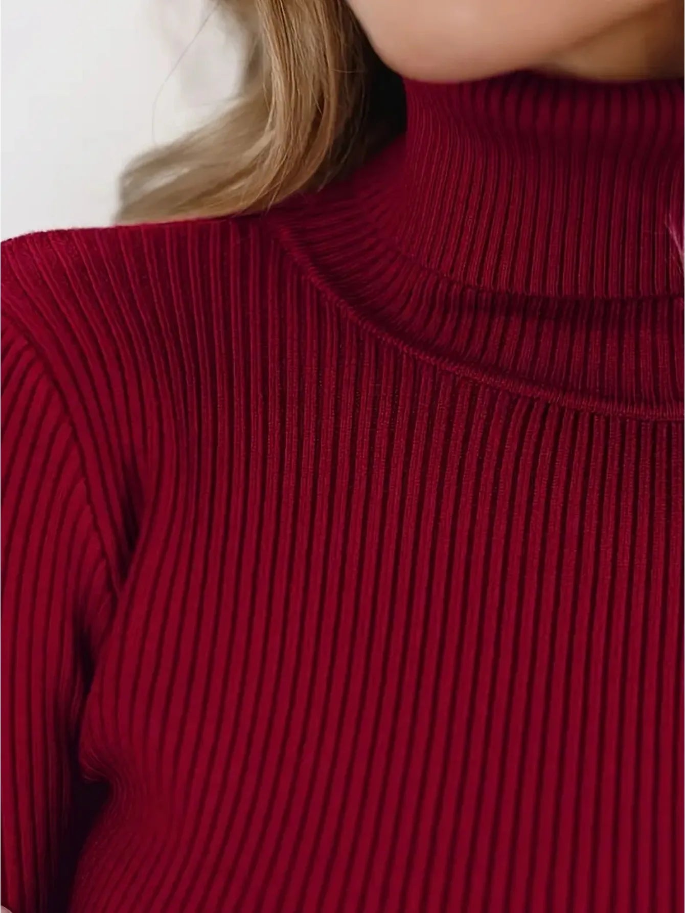 Elegant Style Simplicity High Collar Solid Color Regular Sleeve Sweater Pullover