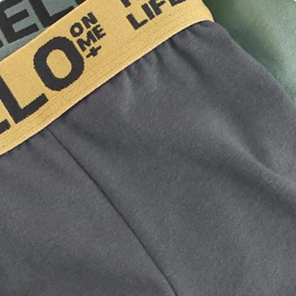 4Pcs Boxer Boxer Men's Underwear XS-XXL Men  Sexy Man Breathable Boxer Shorts Male Comfortable Underpants