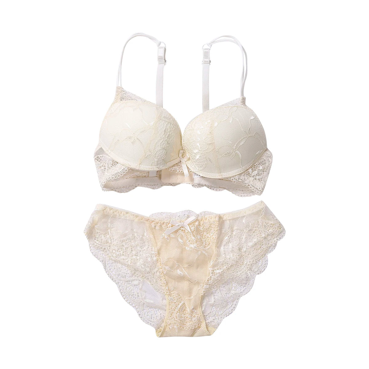 Lace Lingerie Set with Floral Embroidery and Matching Panties Sexy Push-Up Bra and Underwear Intimates