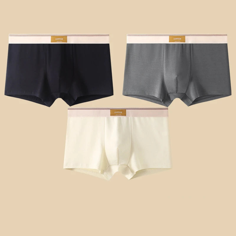 3Pcs Men's Underwear Hombre  Boxershorts Comfortable Breathable Cotton Underwear Sexy Underwear Solid Color Boxer Shorts
