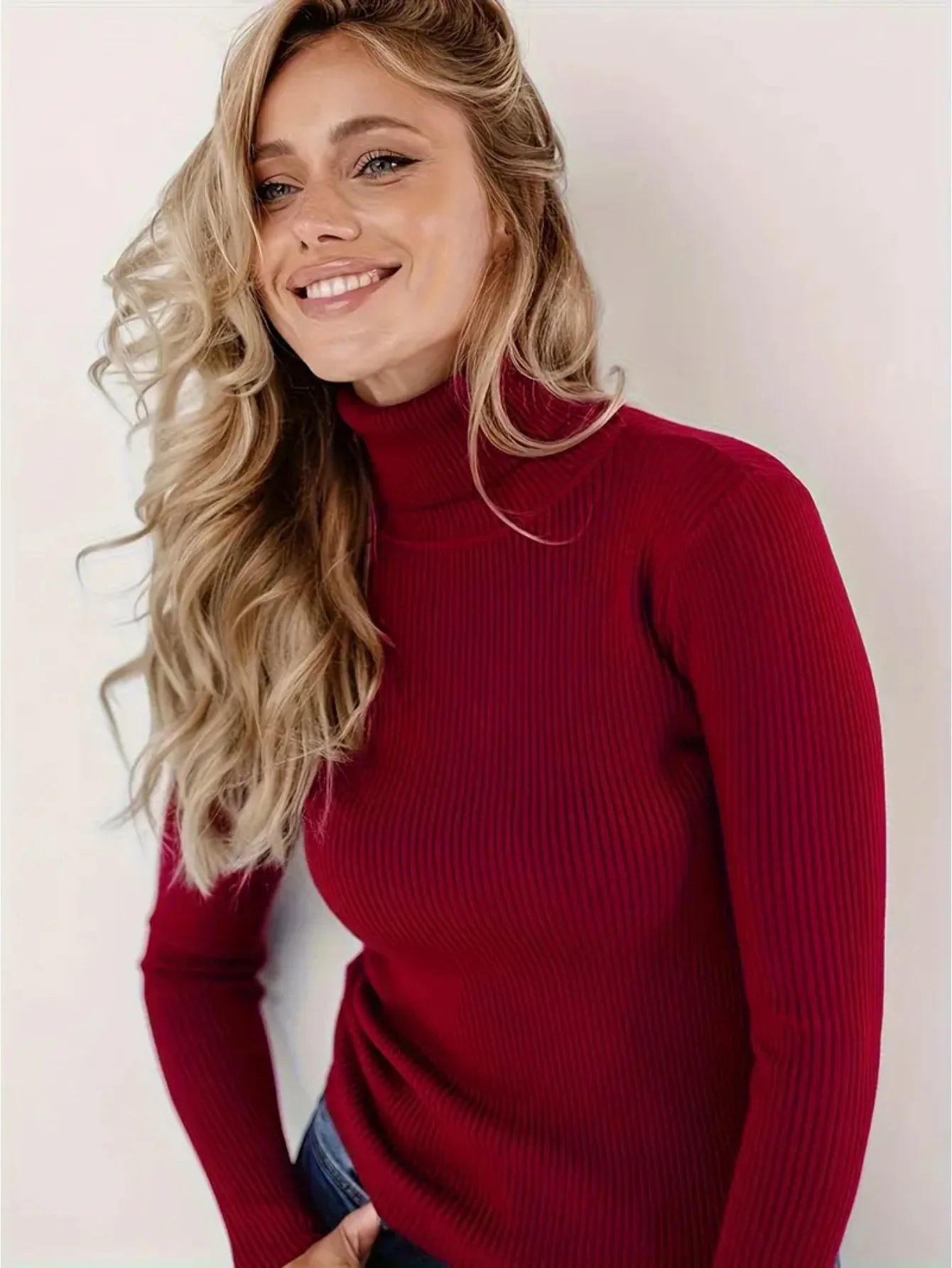Elegant Style Simplicity High Collar Solid Color Regular Sleeve Sweater Pullover
