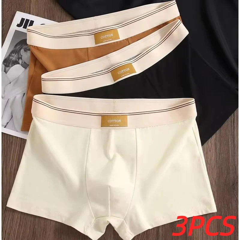 3Pcs Men's Underwear Hombre  Boxershorts Comfortable Breathable Cotton Underwear Sexy Underwear Solid Color Boxer Shorts