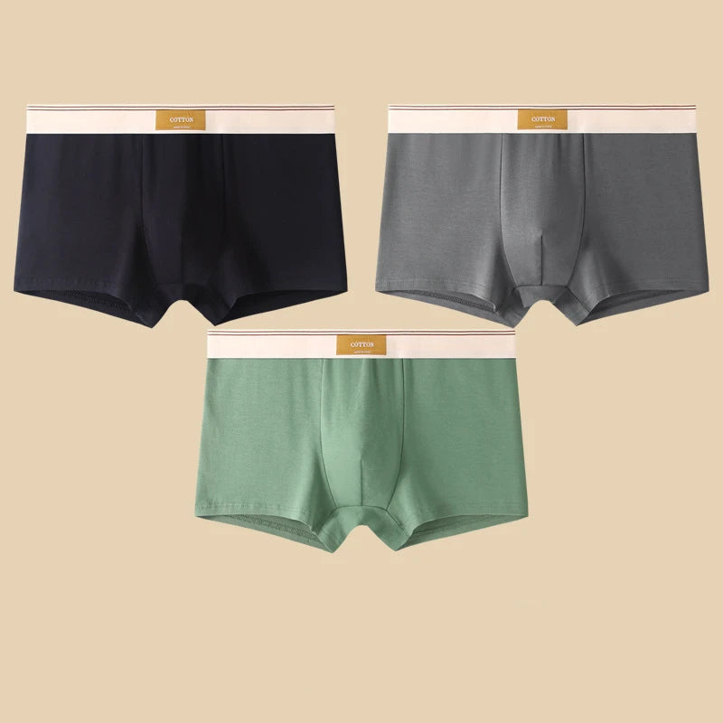 3Pcs Men's Underwear Hombre  Boxershorts Comfortable Breathable Cotton Underwear Sexy Underwear Solid Color Boxer Shorts