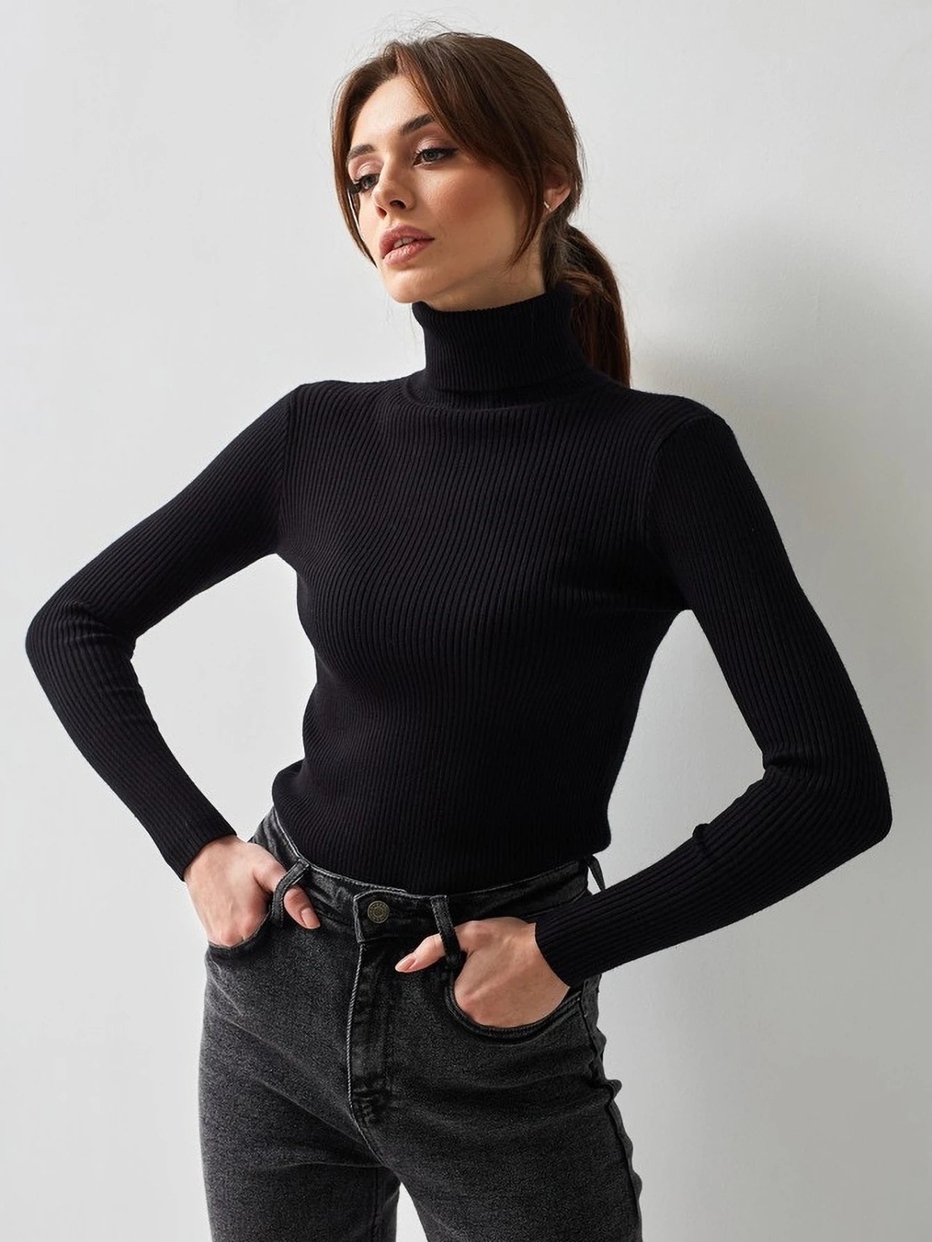 New Elegant Style Simplicity High Collar Solid Color Regular Sleeve Sweater Pullover