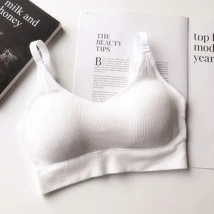 Seamless Sports Bra Fitness Top Yoga Bra Running Crop Top Push Up Sport Bra
