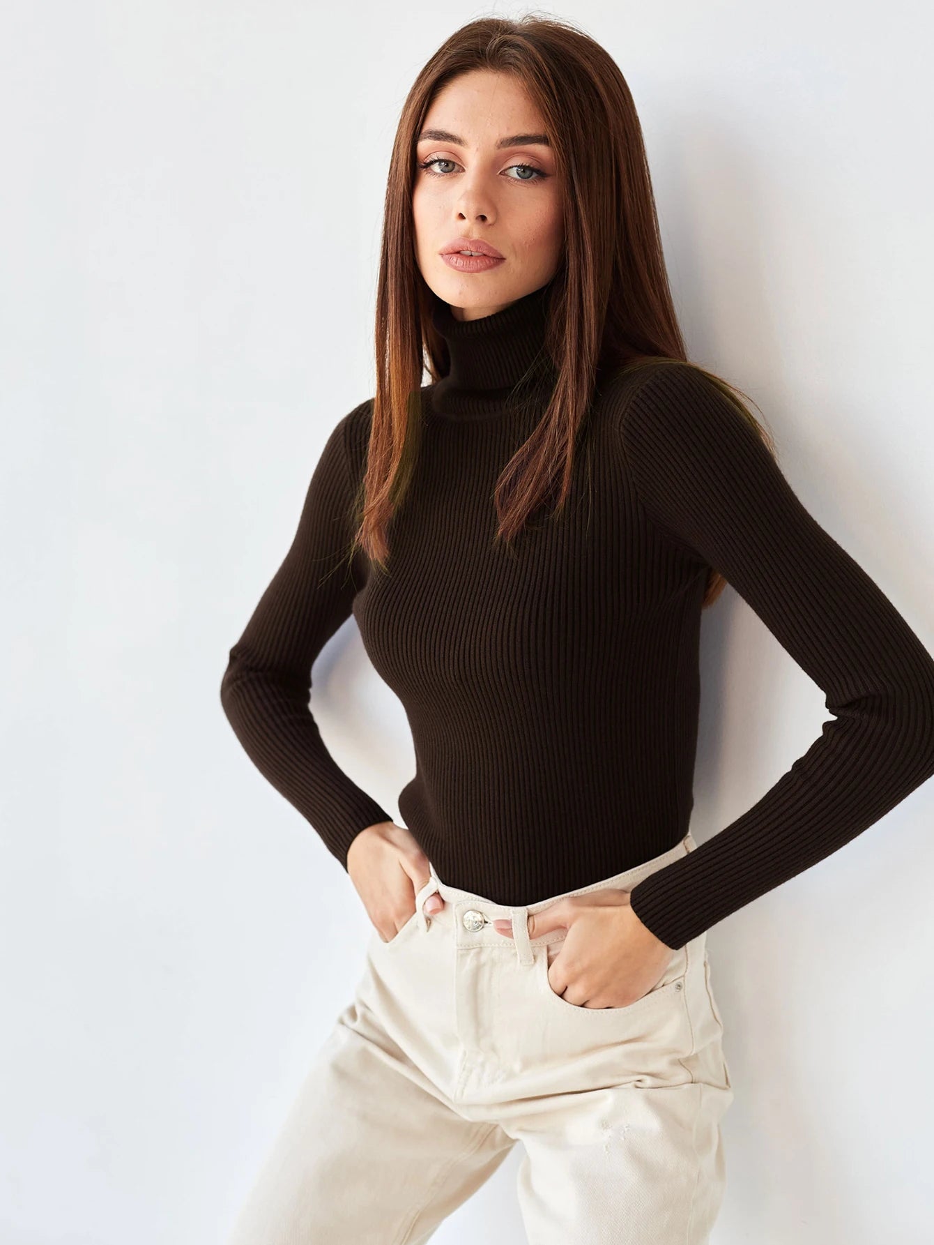 New Elegant Style Simplicity High Collar Solid Color Regular Sleeve Sweater Pullover