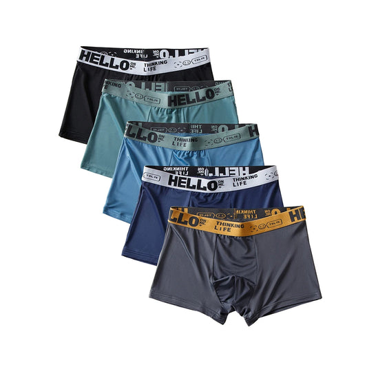 5pcs/lot Boxer Shorts Ice Silk Men's Underwear Summer Breathable Underpants U Convex Lingerie Breathable Sexy